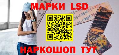 винт Камышлов