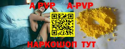 ECSTASY Канаш