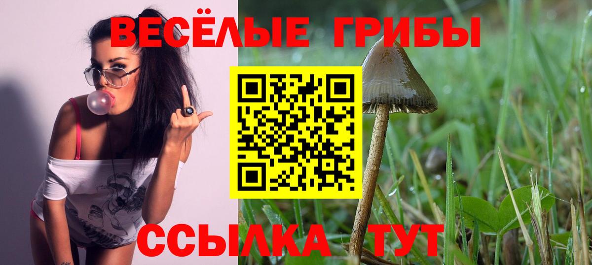 Псилоцибиновые грибы Psilocybine cubensis  Галлюциногенные грибы мухоморы  Красноуфимск  Вход с VPN 
